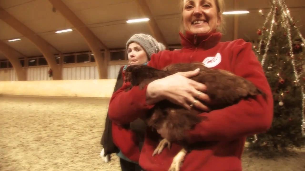 EKT Juleshow 2010