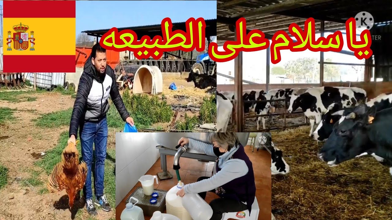 جوله في مزرعة اسبانيا الثمن جد مناسب في اسبانيا 🇪🇸