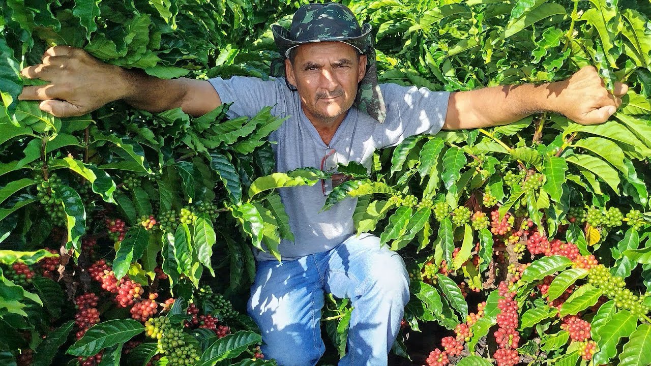 clone (Z13) na primeira catação esti e verdadeiro o melhor do MUNDO.veja o vídeo.??