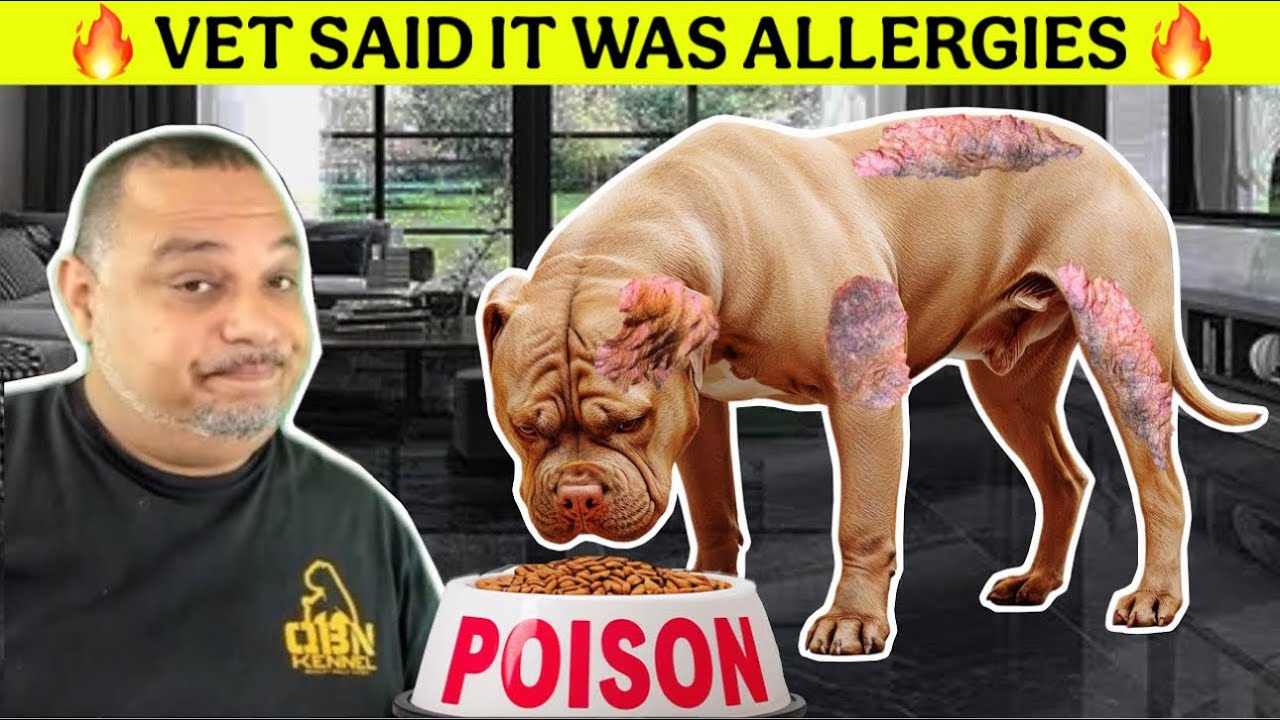Dog Food Ingredients That Will Shock You!