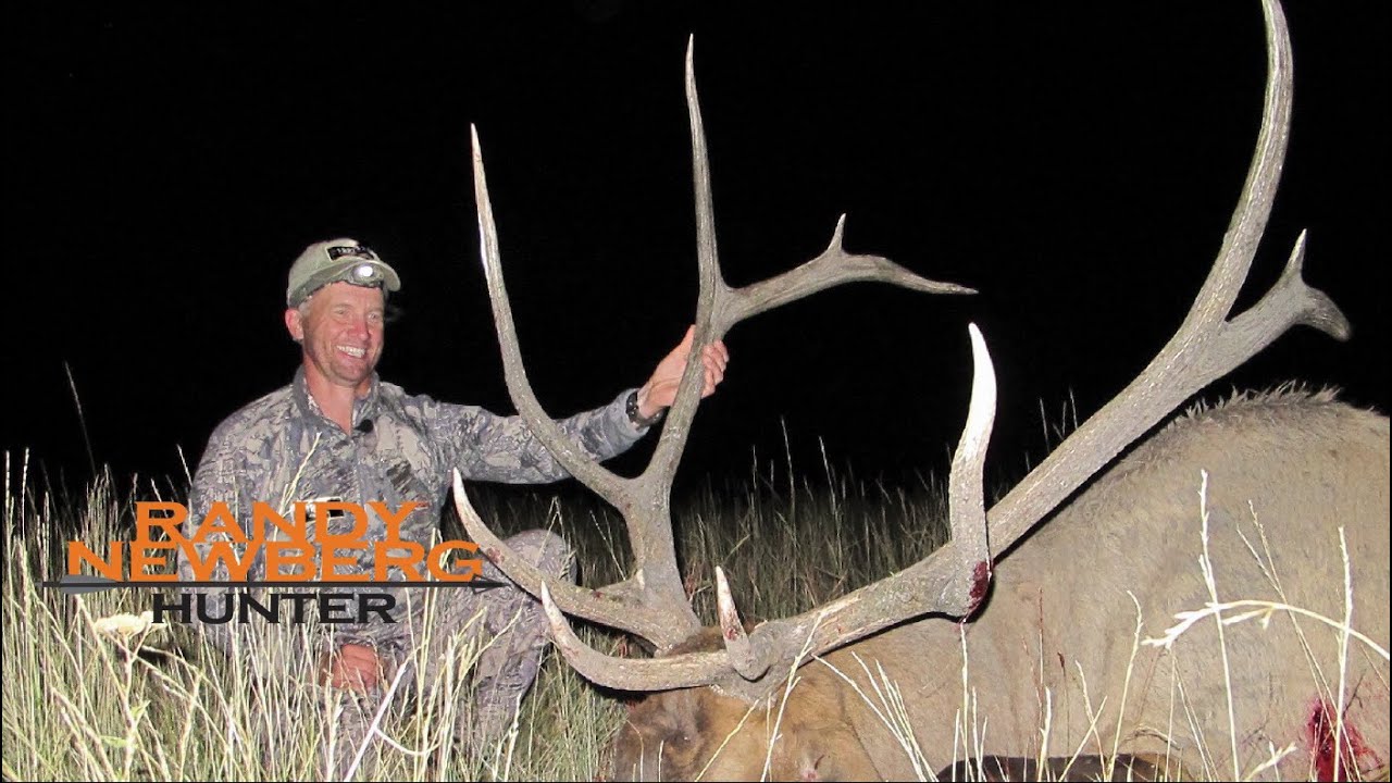 Hunting Montana Archery Elk with Randy Newberg (OYOA S4 E4)
