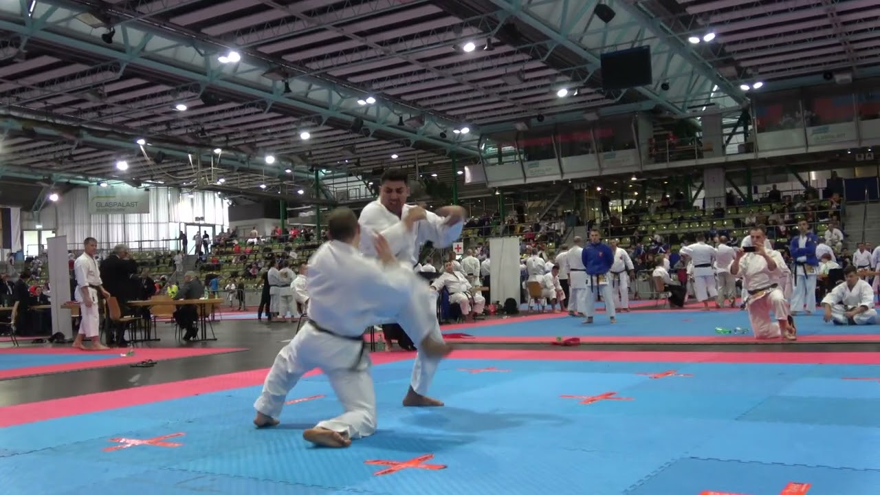 ENBU  Paun Bogdan, Ionica Stefan Campionatul Mondial de Karate Traditional FUDOKAN   Sindelfingen