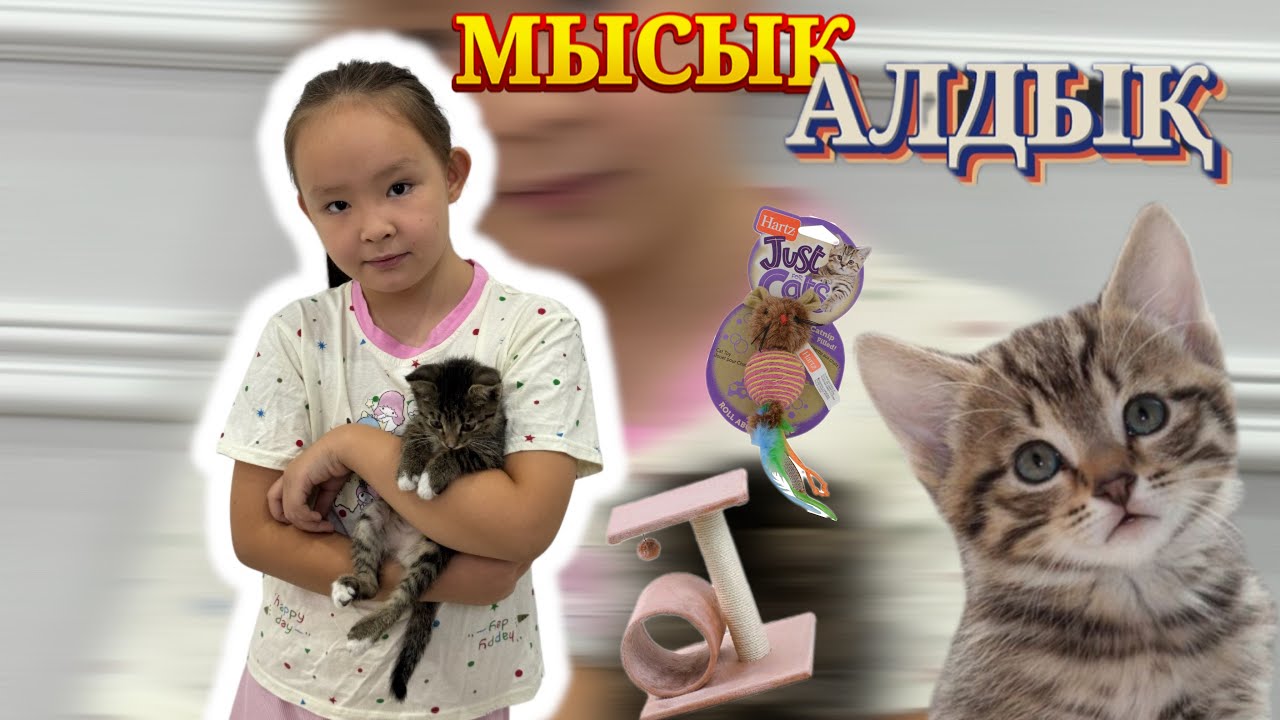 😻😺 ІНЖУ МЫСЫҚ АЛДЫ 😍😊 Мысығымызға заттар алдық 🛁🪮🩷🥰