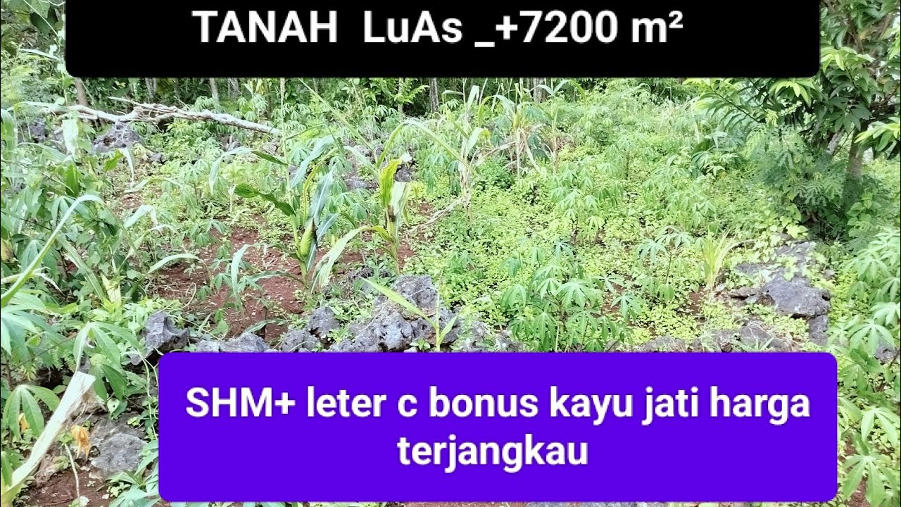 # TANAH MURAH 130 juta LUAs_+7200 m2@yb property