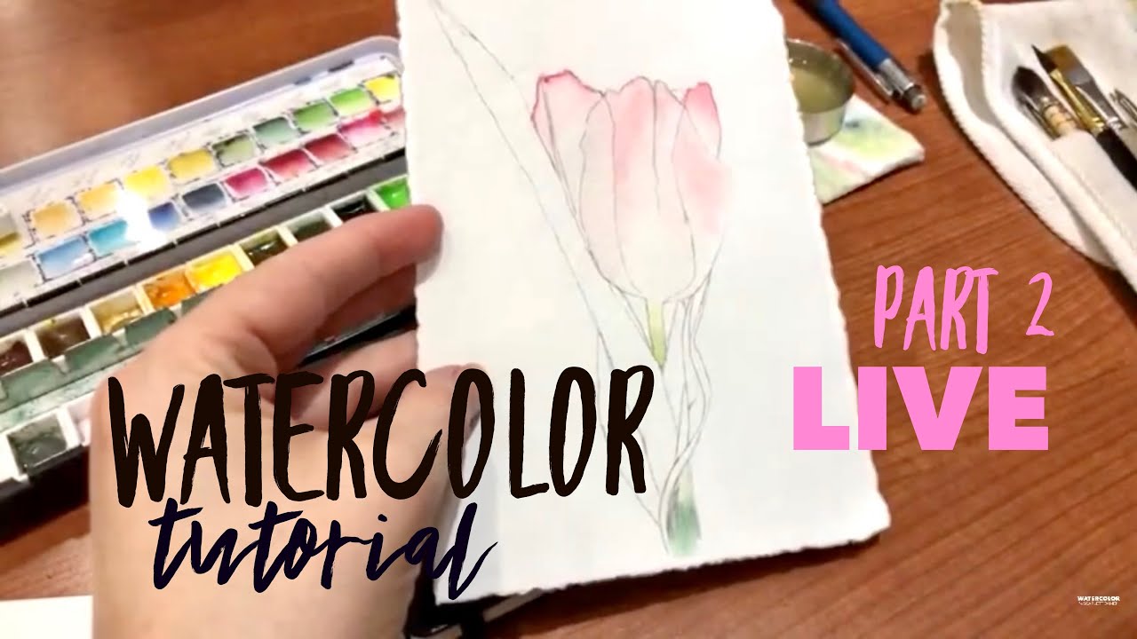 p2 Live watercolor tutorial- tulip 🌷Botanical art part two