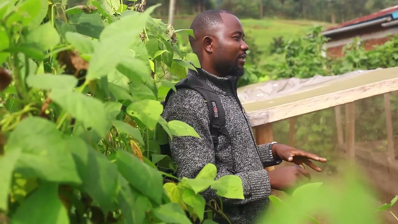 Documentaire AGRICULTURE agroécologique