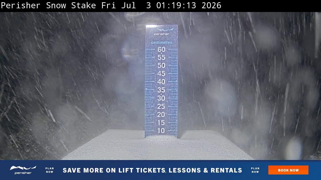 Perisher Snow Stake