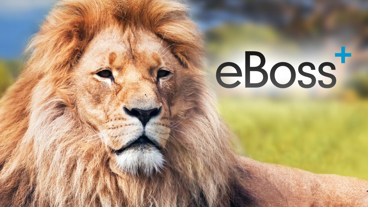 How to compose an email to a candidate | eBoss Recruitment Software