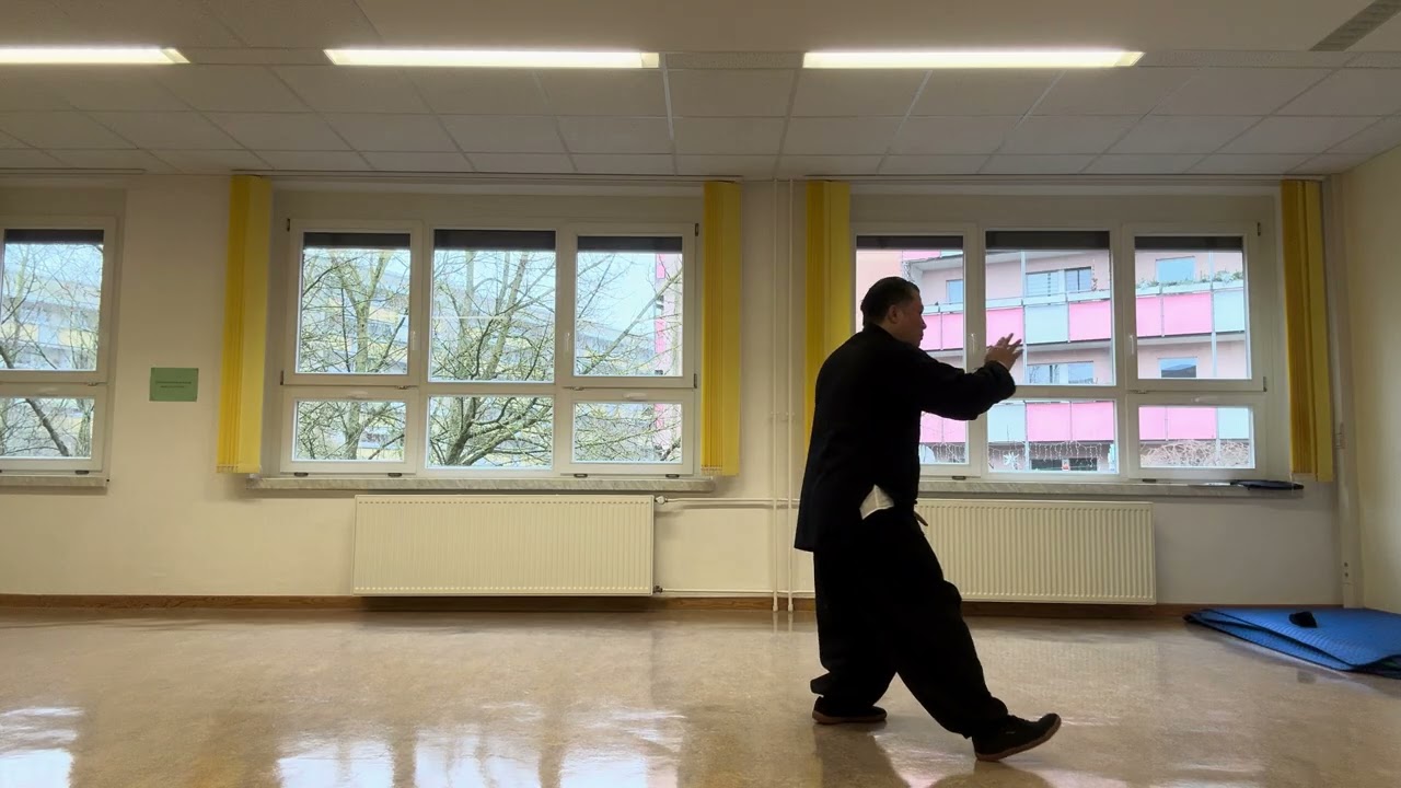 Chen Taijiquan 9 er Form ( Thái cực Quyền 9 động tác)