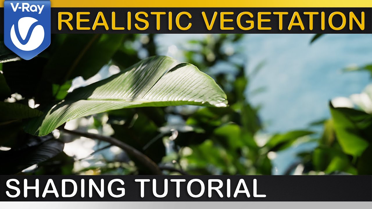 V-Ray | REALISTIC LEAVES + VEGETATION | Updated Translucency Workflow Explained