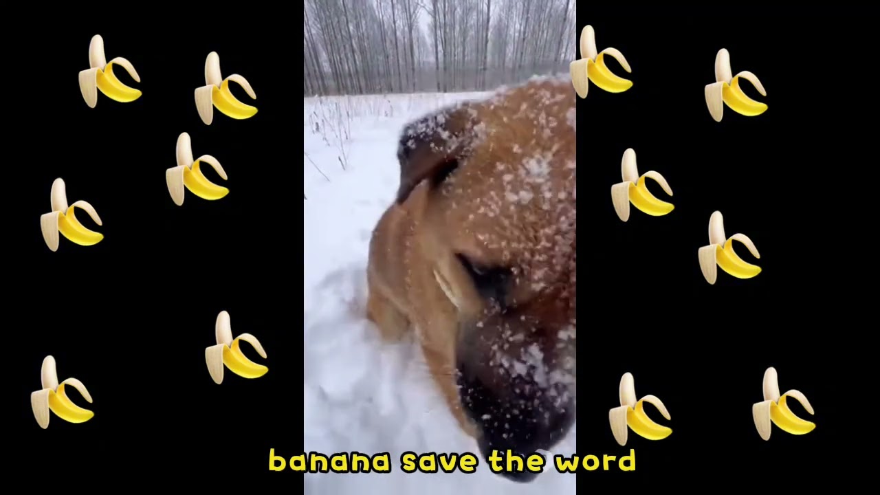 This is why people like banana