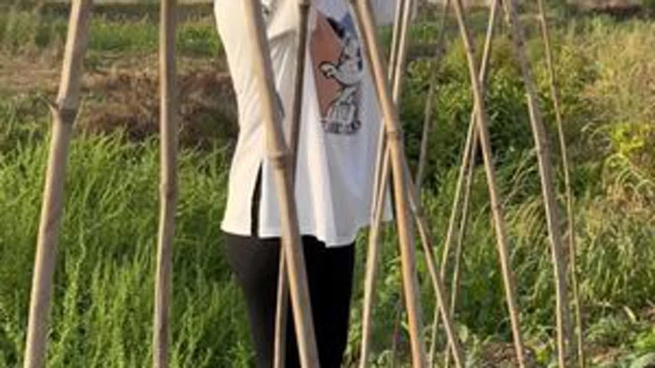 今早上给豆角黄瓜搭架子，刨蒜，做早餐，炸油条，一早上感觉很充实，本想着李刚晚上干活让他和孩子多睡会，结果饭还没吃又干活走了！#记录真实生活 #自己种的纯天然的绿色蔬菜 #农村
