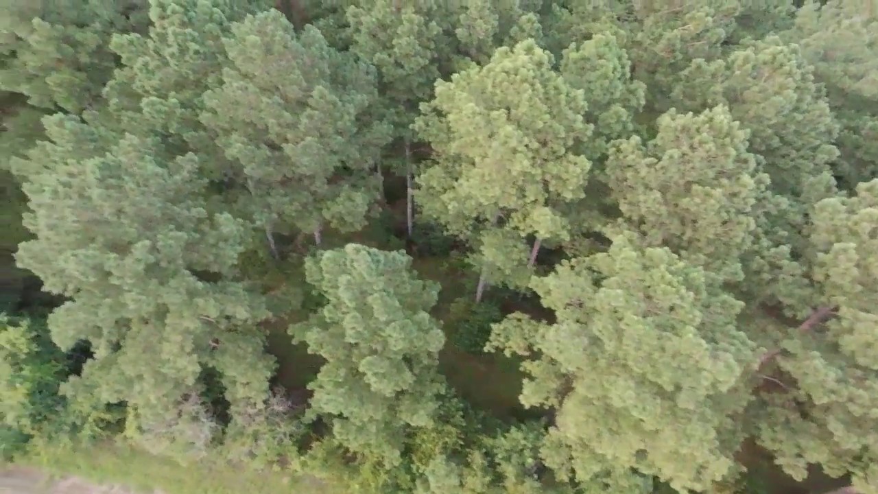 Parrot Bebop 2 Power  75 Waypoints   Rockbed Buck