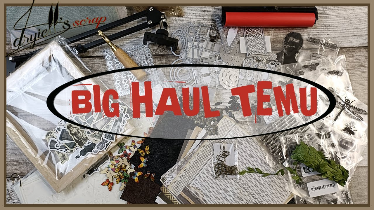 BIG HAUL TEMU – Du scrap et encore beaucoup de scrap !