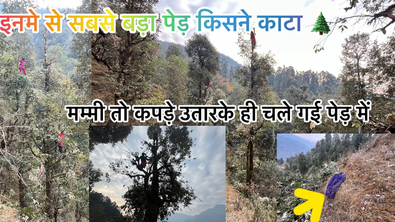 🌲￼बाँज काटने गये हम लोग 🪾मम्मी कपड़े उतारके क्यौ गई पेड़ में आख़िर पूरा देखे 😳 video 