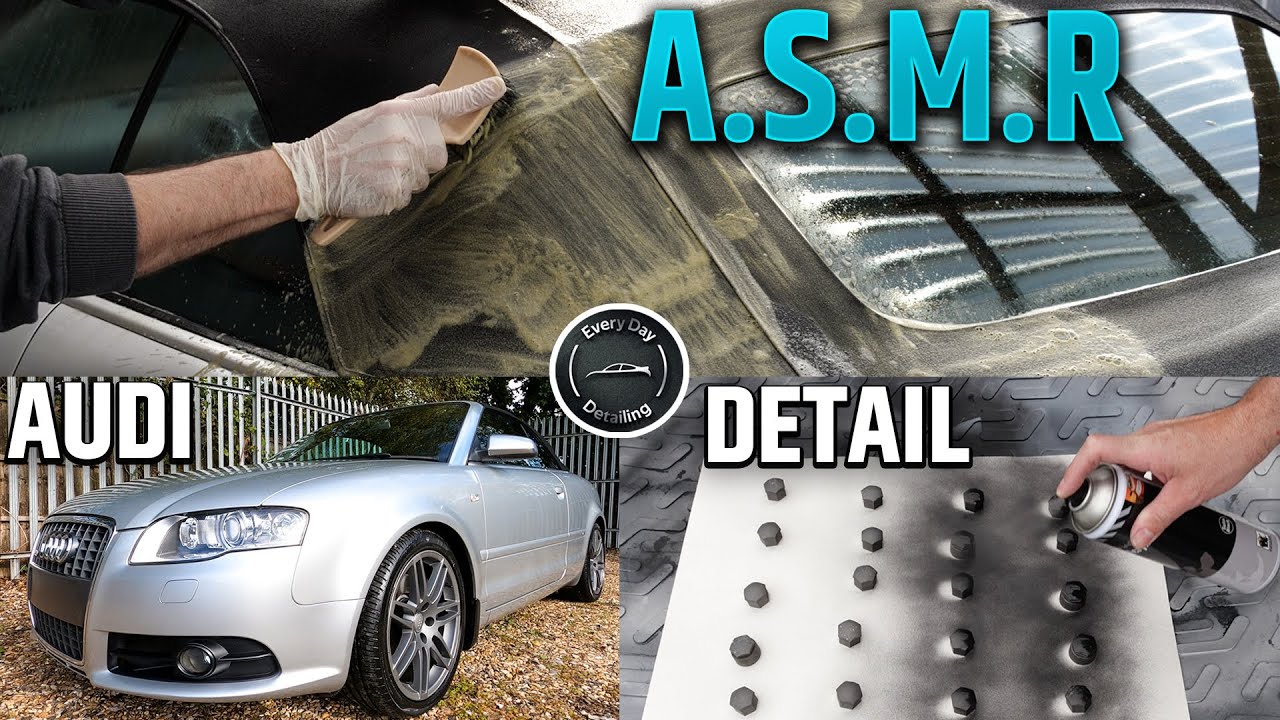 Deep Cleaning a MOLDY Audi A4 - Will It RUN Again?