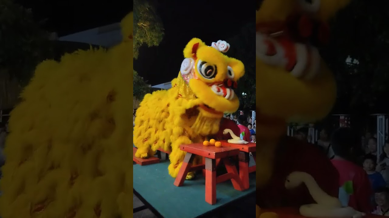 山打根育才小学 —— 仕林救母