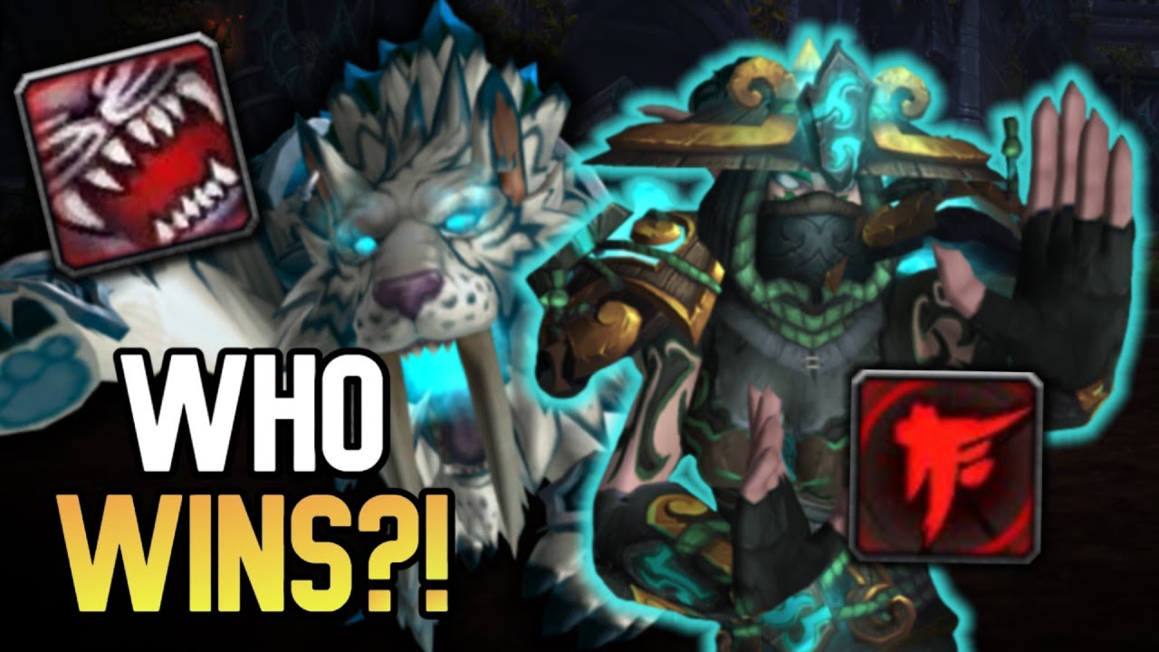 The Battle For Mobility! | Feral Druid Vs WW Monk 1v1 - WoW Duels BFA 8.3