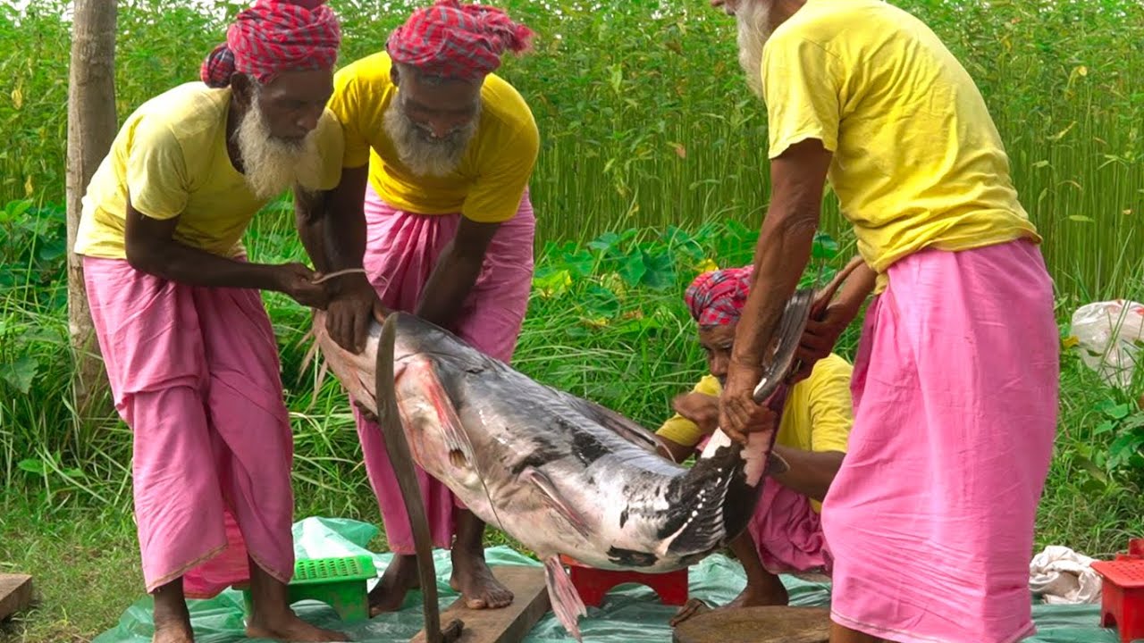 42 KG Devil Catfish Cutting & Cooking by Grandpa for Special People - Dwarf Goonch Fish Curry Recipe