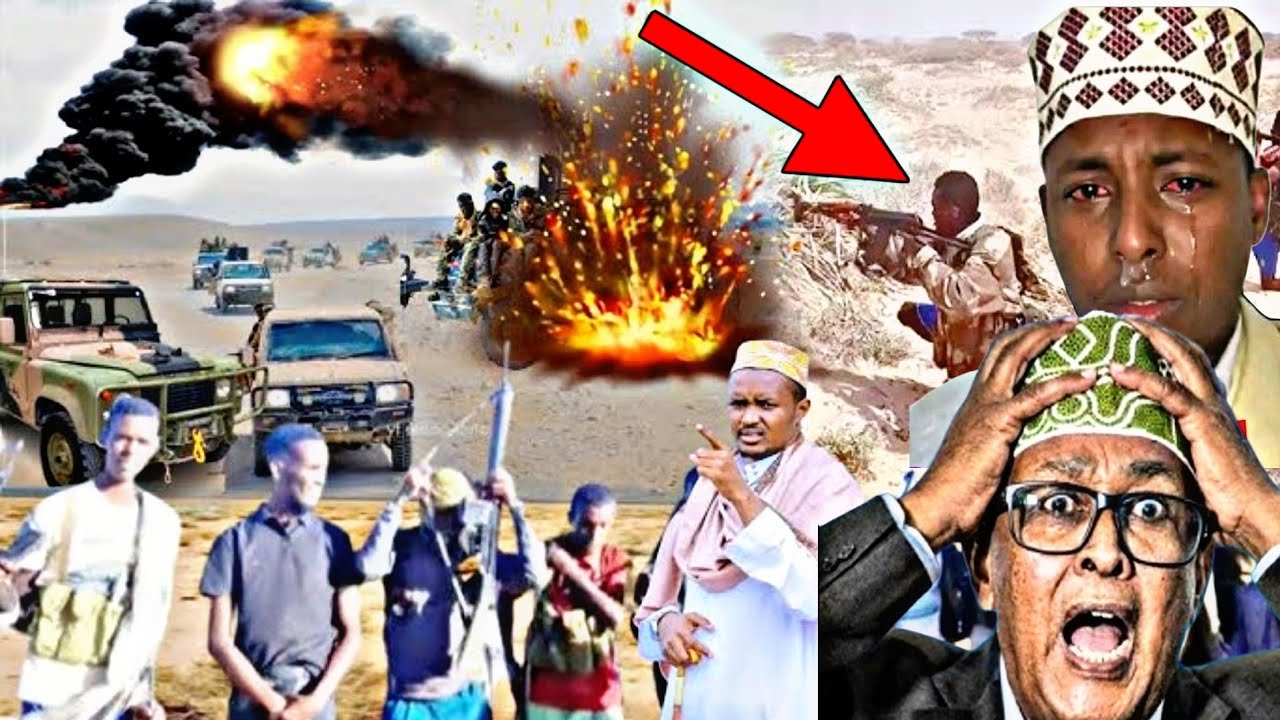 Daawo Qaabka Beel waynta ciise u Bad-Baadisay Dhulka Somaliyeed Gaalkii waynaa Ee Oromada u Dileen