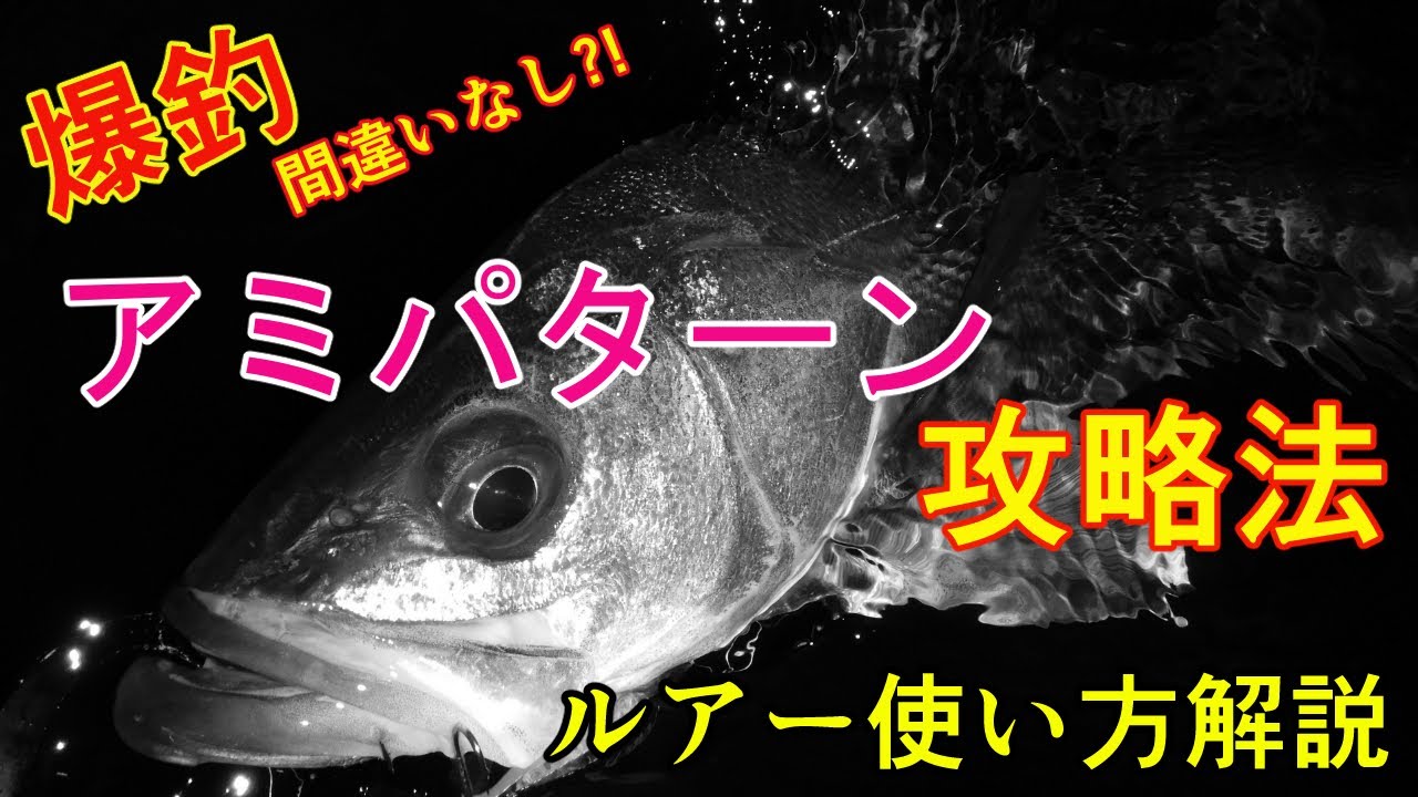 【シーバス】アミパターン攻略ルアー選択と使い方を解説