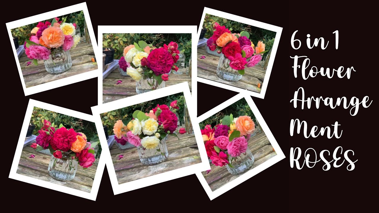 DO THIS! Using the last of the summer roses. Make 6 floral still life photos of from 1 arrangement