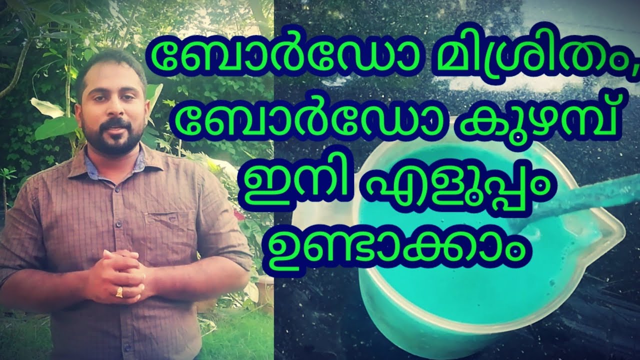 ബോർഡോ മിശ്രിതം,ബോർഡോ കുഴമ്പ് ഉണ്ടാക്കുന്ന വിധം | Preparation Of Bordeaux Mixture And Bordeaux Paste