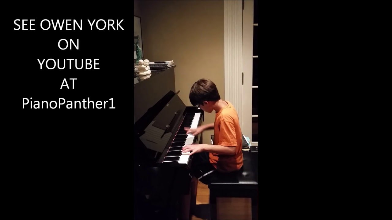 Owen York | STEELY DAN Sign In Stranger