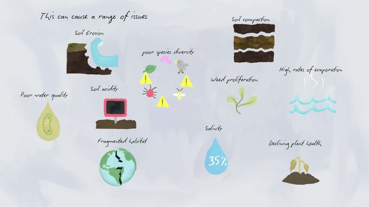 Water in healthy landscapes 8: Building resilience into the Landscape Mosaic