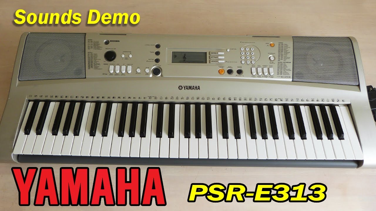 YAMAHA PSR-E313 quick sounds demo and review