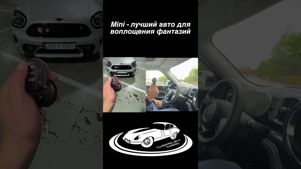 Необычные аксессуары MINI