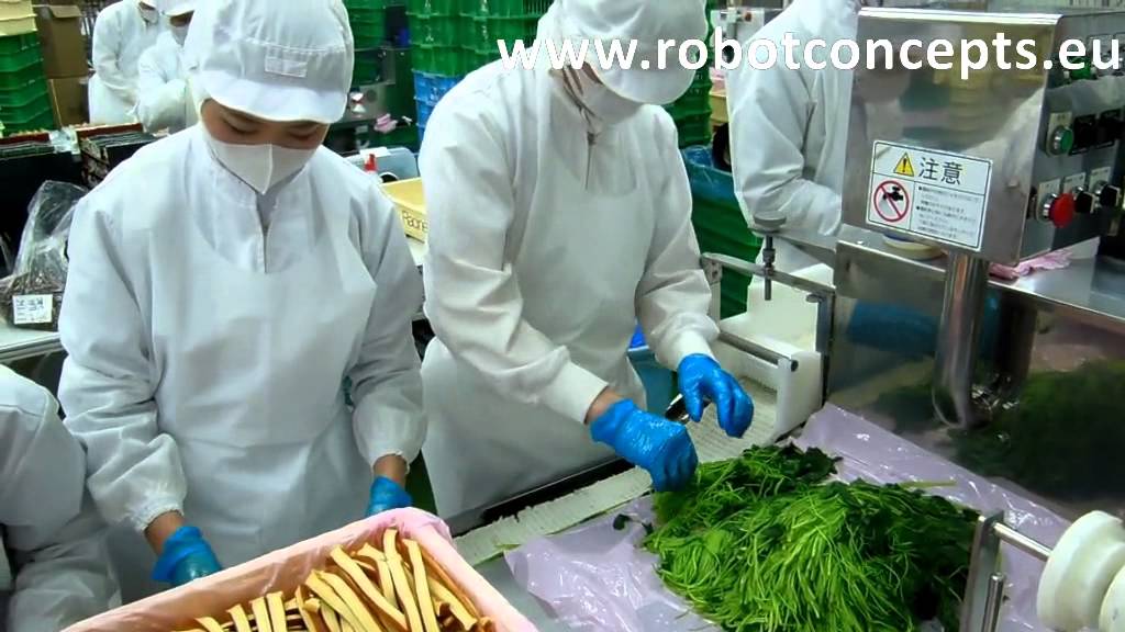 Mass Production Machine of Sushi Roll(Maki) for Sushi Factory