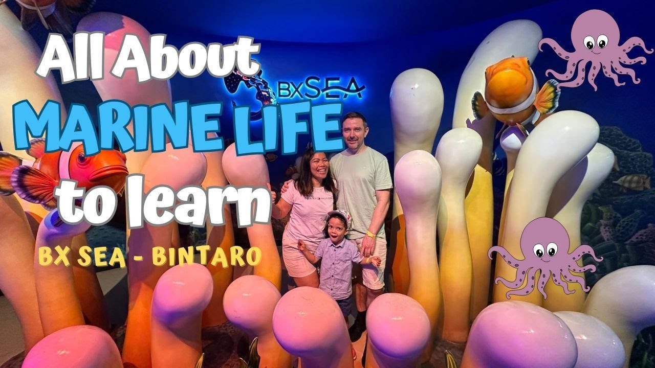 BXSea Aquarium Sea world Bintaro | Learn About Marine Life