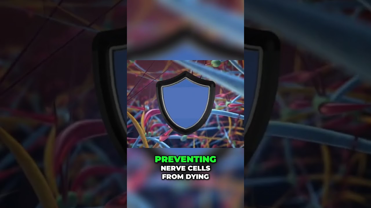 Unlock the Power of Acetyl-L-Carnitine for Nerve Health