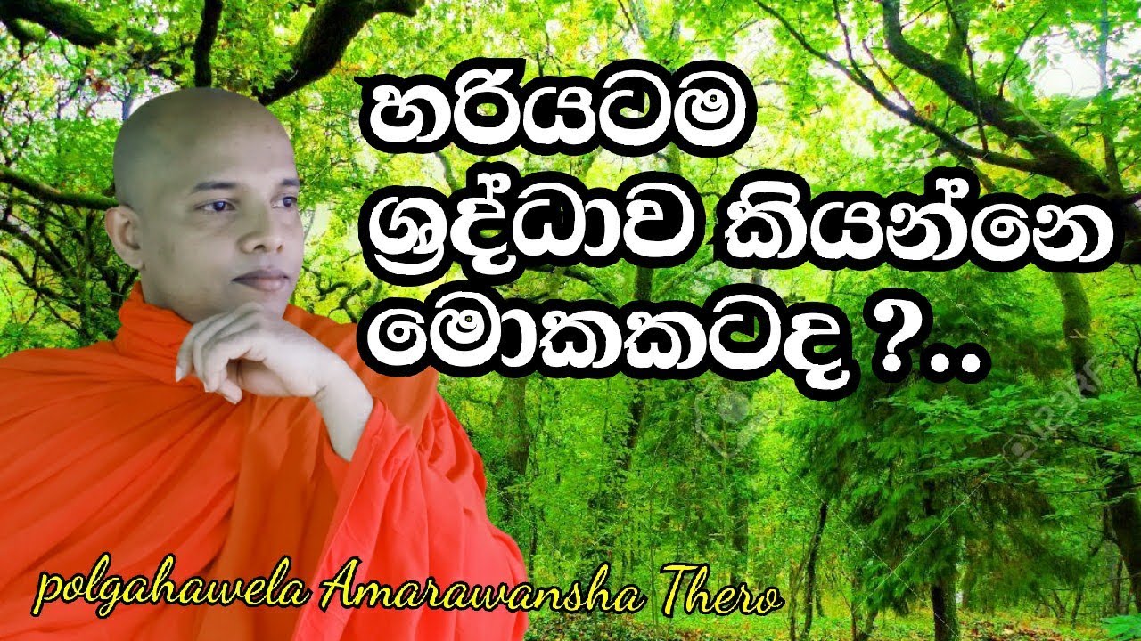 හරියටම  ශ්‍රද්ධාව කියන්නෙ මොකකටද?| shraddhawa  |  ....wenayika tv
