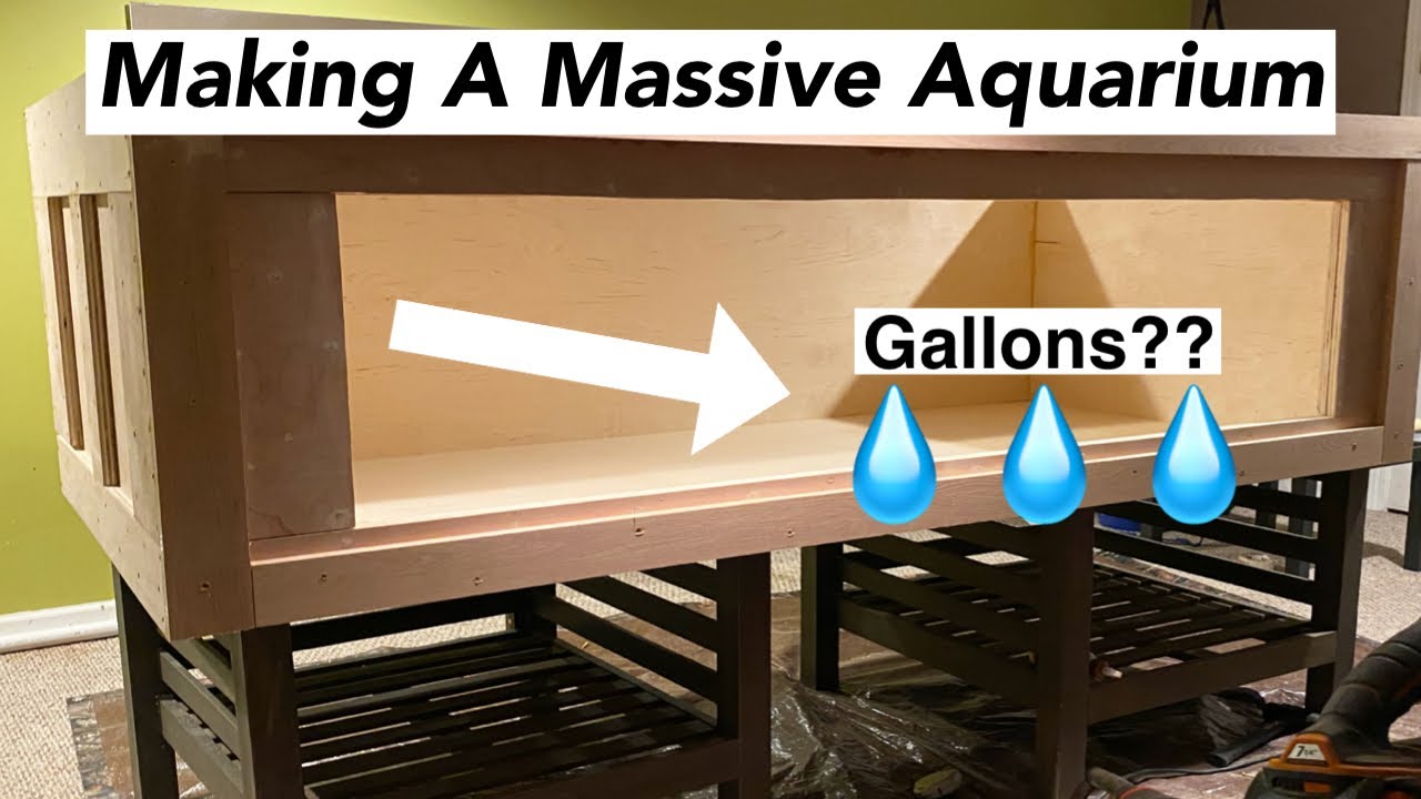 Making A Massive Aquarium - Part 1