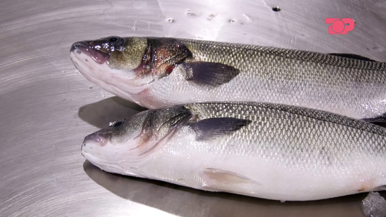 Si ta ruajmë peshkun - Në Shtëpinë Tonë, 17 Qershor 2019, Pjesa 4