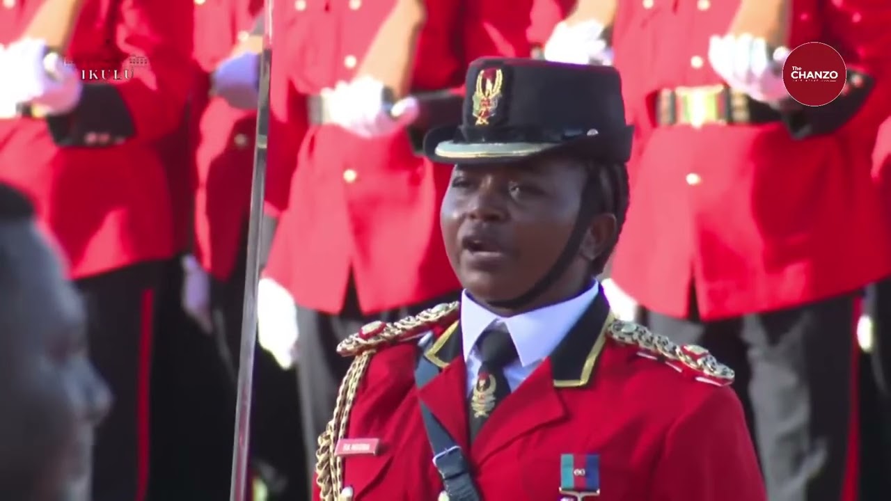 Gwaride la Kijeshi la Mapokezi ya Rais Alexander Stubb wa Finland Ikulu Jijini Dar es Salaam