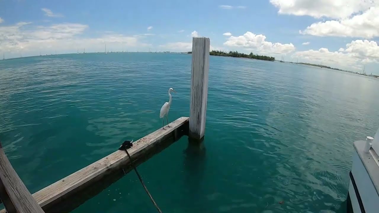 Latitudes restaurant on Sunset Key