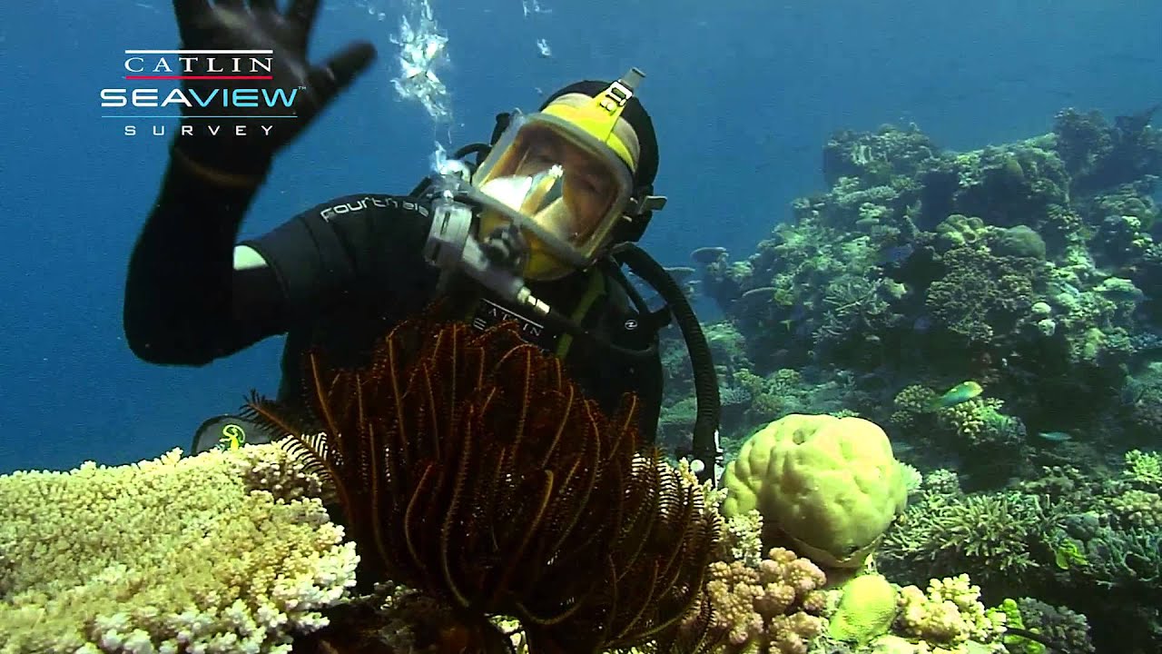 Seaview Science Video: Crinoids