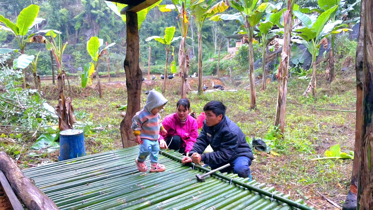 In the cold winter: Small family works together to build a small house for their ducks.