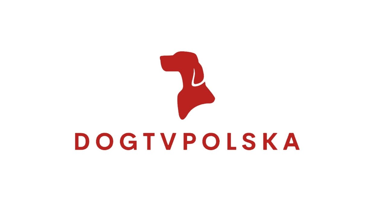 Najpiękniejsze polskie psy. Studio DOGTVPOLSKA na Krajowej Wystawie Ps&oacute;w Rasowych ZKwP w Legionowie.
