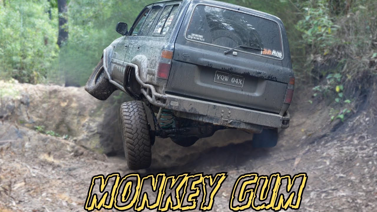 Monkey gum never Disappoints!