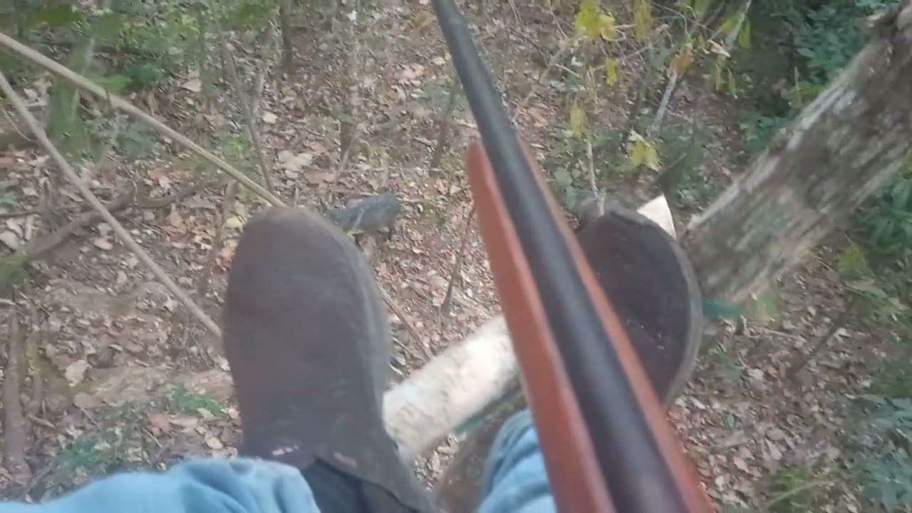 24 de agosto de 2025