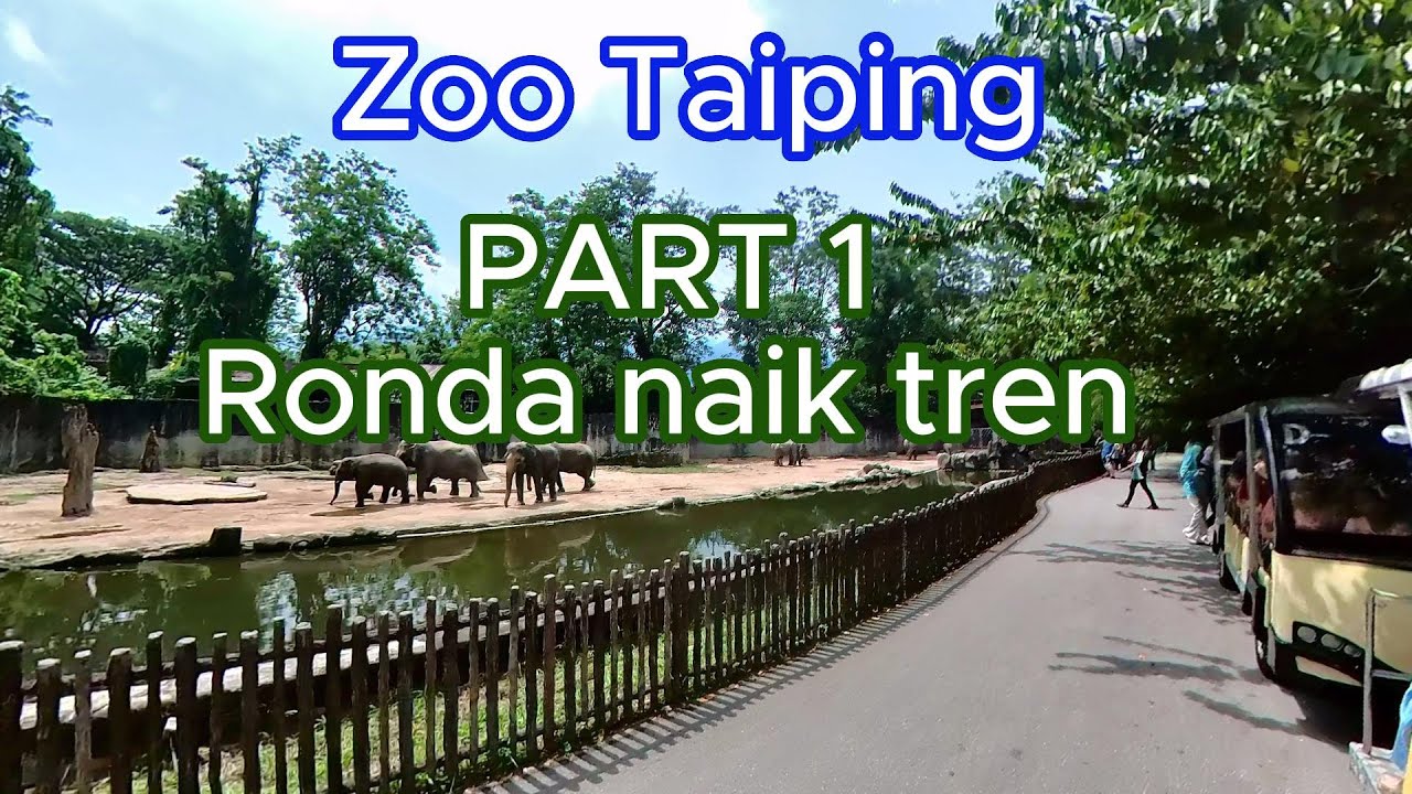 Zoo Taiping. Exploring by Train