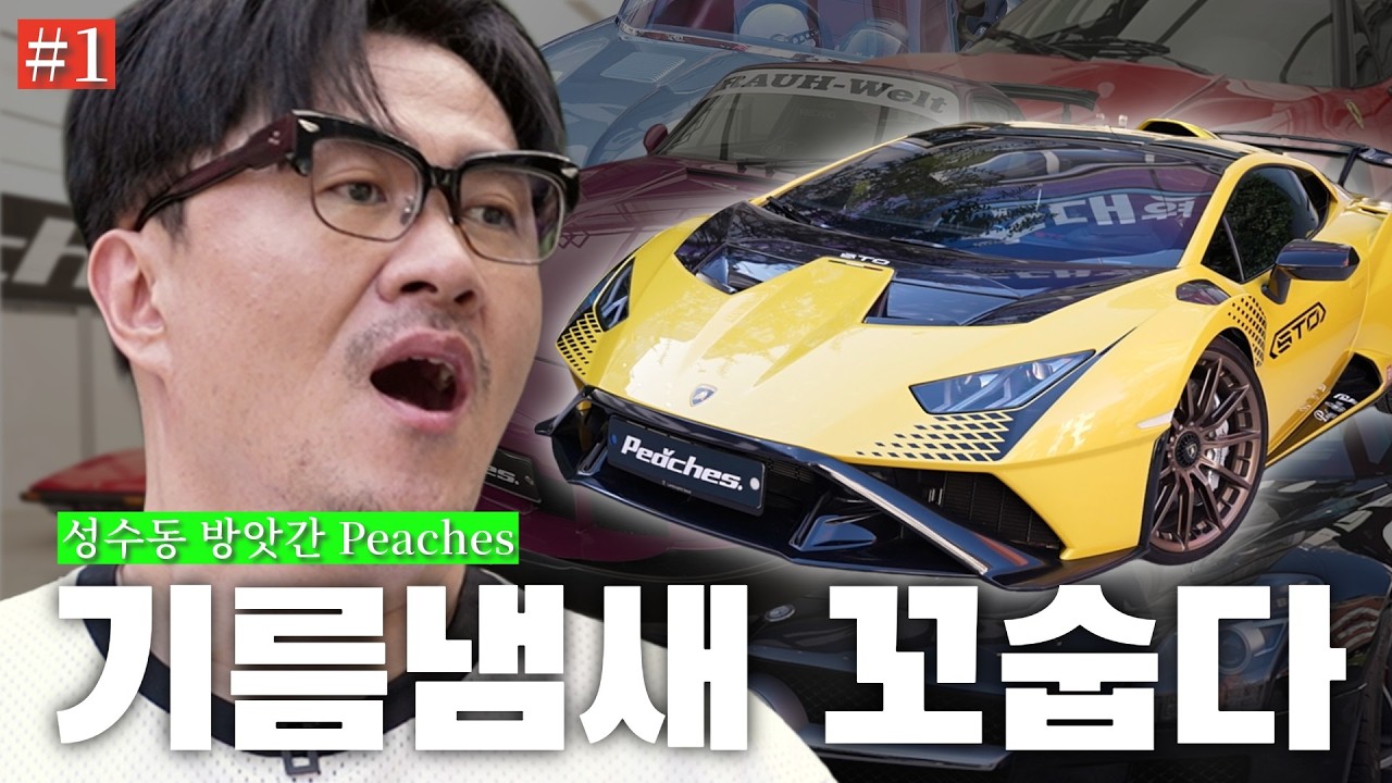 람보르기니를 신차로 뽑으면 벌어지는 일 | 벤츠 C43 AMG부터 SLS, 람보르기니 우라칸 STO부터 페라리 308 GTS까지 (PEACHES 1)