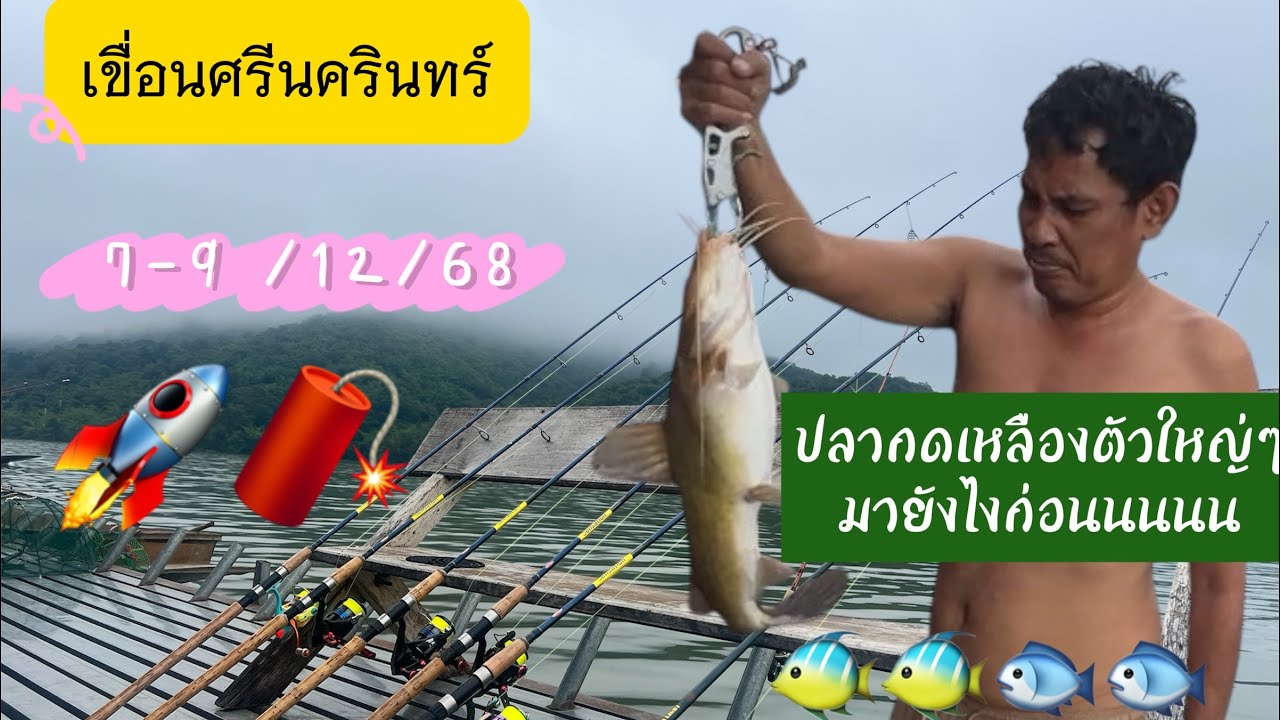 ตกปลาเขื่อนศรีนครินทร์ 3วัน 2คืน 5-7ธค.68 #ตกปลา #เขื่อนศรีนครินทร์ #ปลากดเหลือง #แพน้องปอ