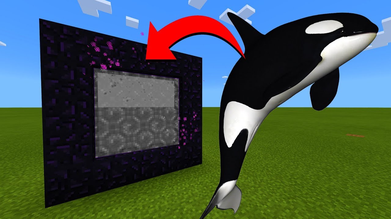 How To Make A Portal To The Orca Whale Dimension in Minecraft!