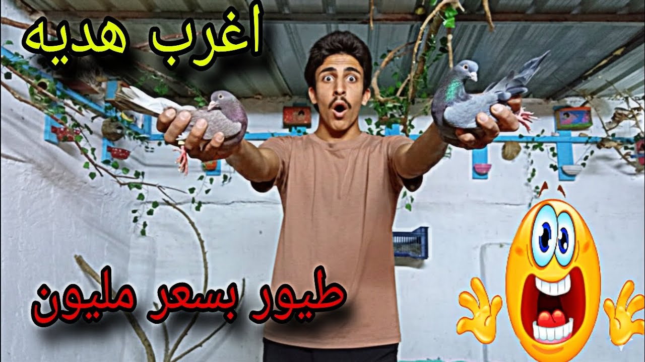 اغرب هديه 😱