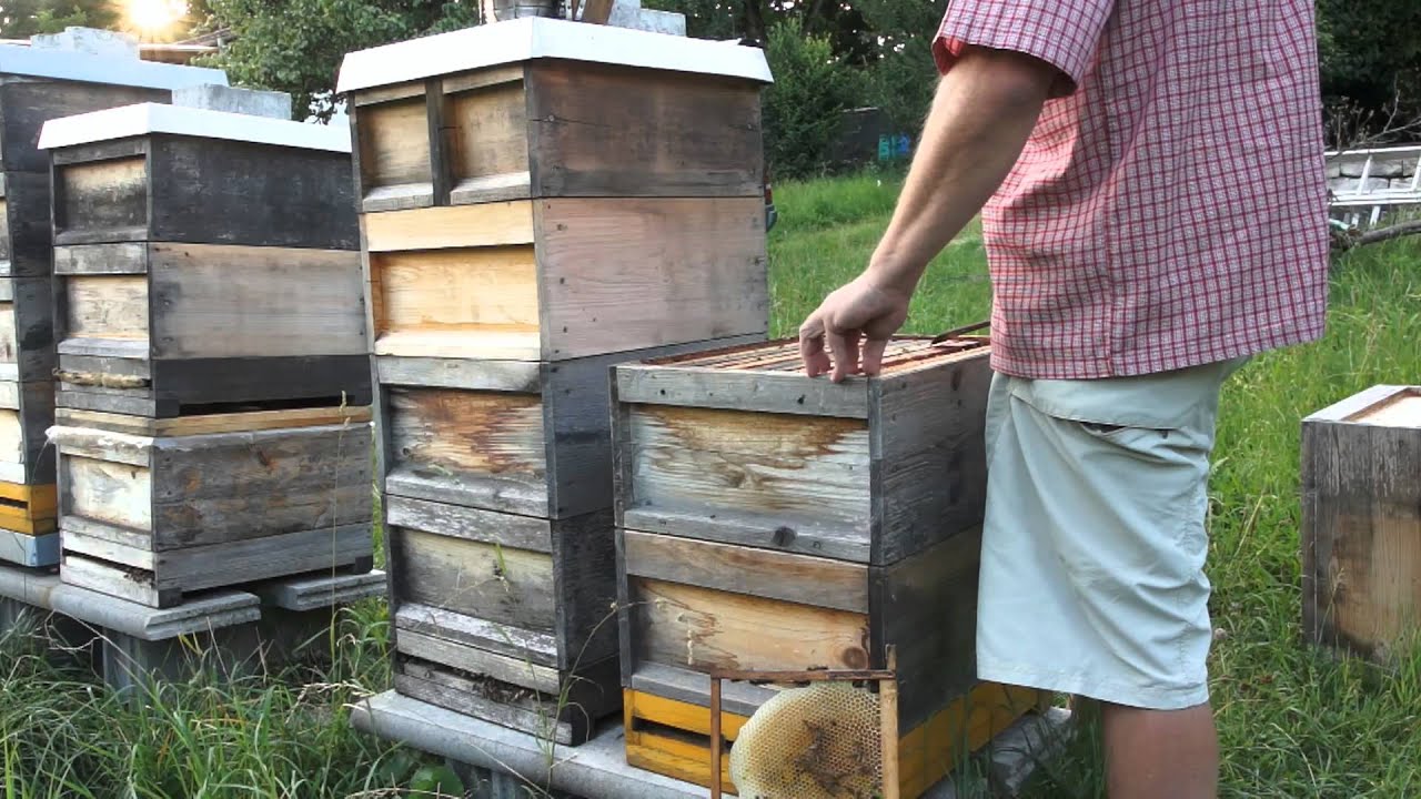Naturbau